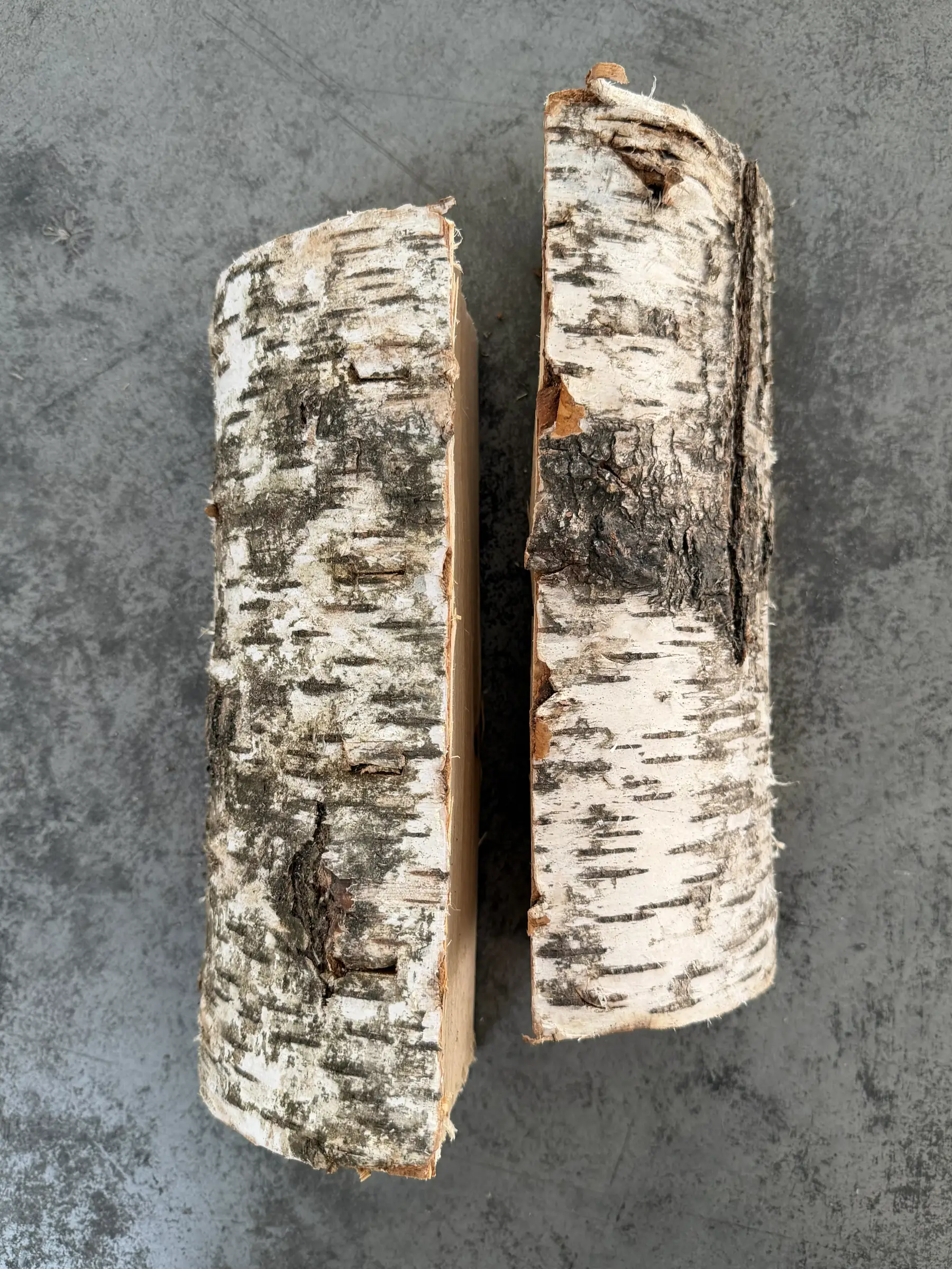 Two split birch firewood logs