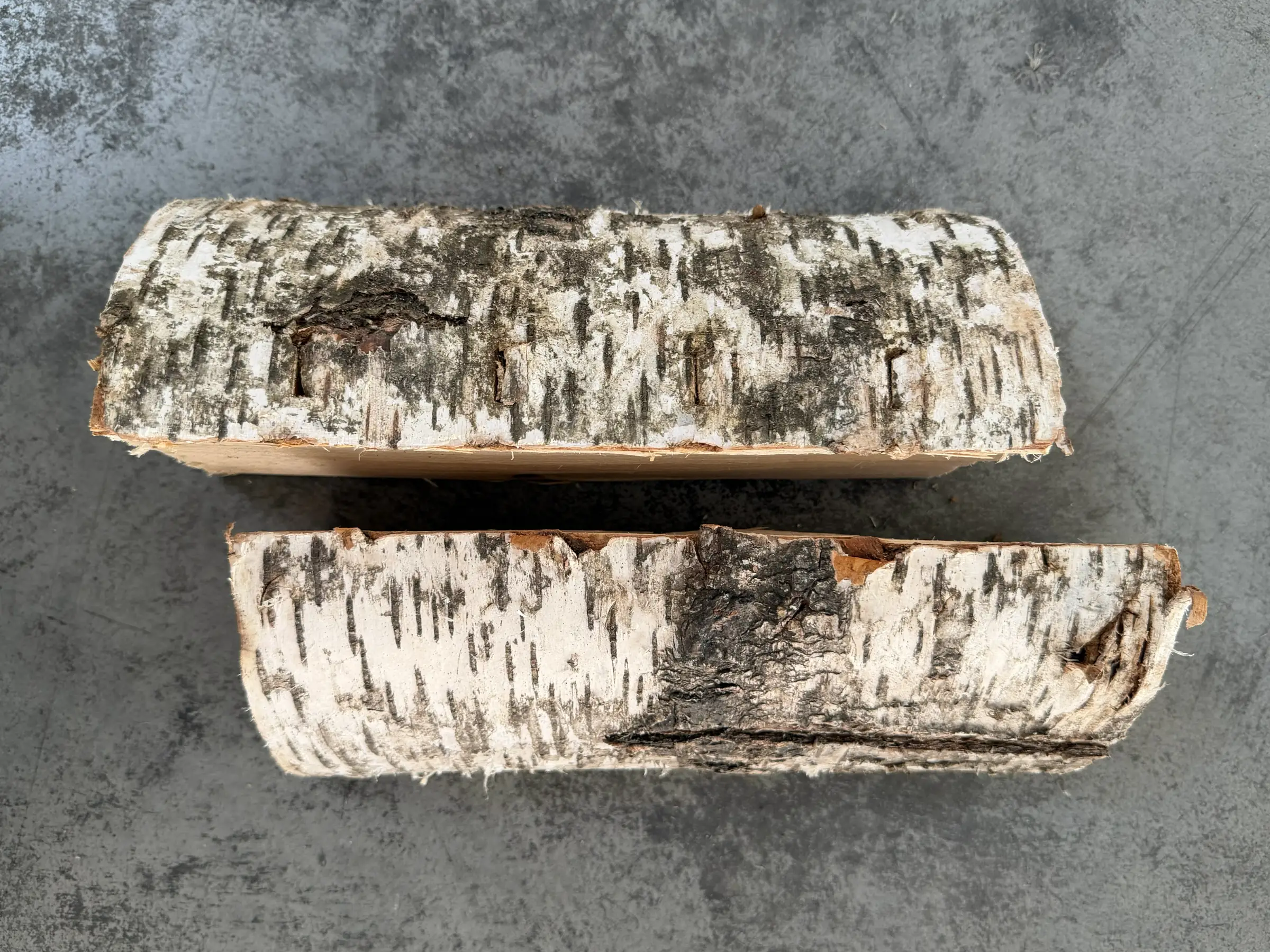 Two split birch firewood logs